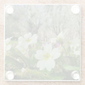 Harbinger of Spring Glasuntersetzer (Rückseite)