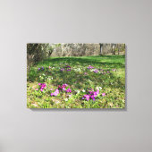 Harbinger of Spring Leinwanddruck (Vorderseite)