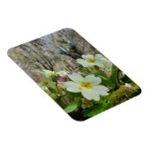 Harbinger of Spring Magnet (Rechte Seite)