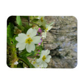 Harbinger of Spring Magnet (Horizontal)