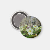 Harbinger of Spring Magnet (Vorderseite/Rückseite)