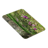 Harbinger of Spring Magnet (Rechte Seite)