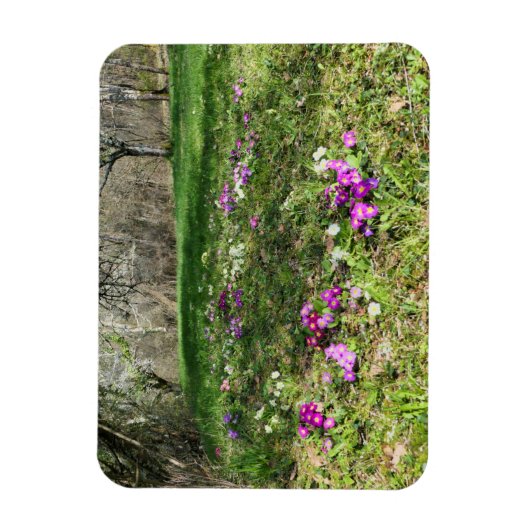 Harbinger of Spring Magnet (Vertikal)