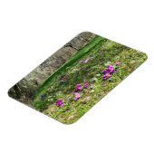 Harbinger of Spring Magnet (Linke Seite)