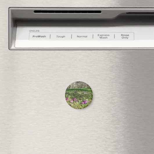 Harbinger of Spring Magnet (In Situ (Geschirrspüler))