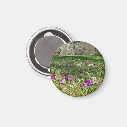 Harbinger of Spring Magnet (Vorderseite/Rückseite)