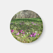 Harbinger of Spring Magnet (Vorne)