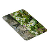 Harbinger of Spring Magnet (Rechte Seite)