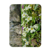 Harbinger of Spring Magnet (Vertikal)