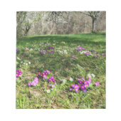 Harbinger of Spring Notizblock (Vorderseite)