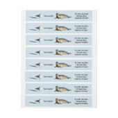 Harbour Siegel in La Jolla California (Bogen)