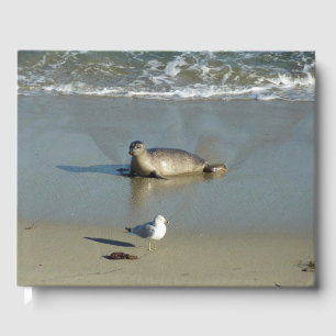 Harbour Siegel in La Jolla California Gästebuch