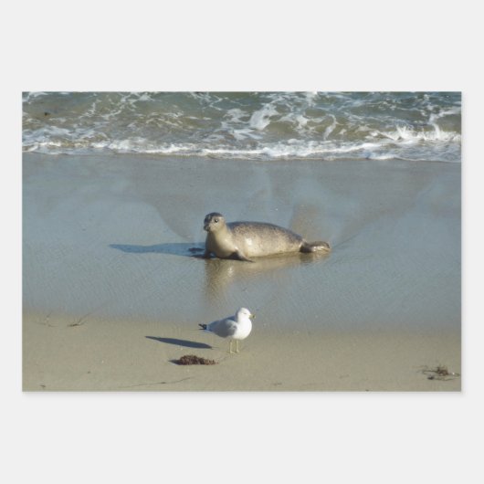 Harbour Siegel in La Jolla California Geschenkpapier Set (Vorderseite 2)