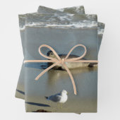 Harbour Siegel in La Jolla California Geschenkpapier Set (Beispiel)