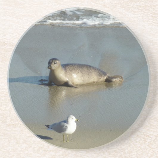 Harbour Siegel in La Jolla California Getränkeuntersetzer (Vorne)