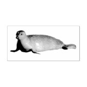 Harbour Siegel in La Jolla California Gummistempel (Prägung)