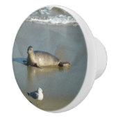 Harbour Siegel in La Jolla California Keramikknauf (Rechts)