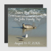 Harbour Siegel in La Jolla California Magnetkarte (Vorne/Hinten)