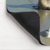 Harbour Siegel in La Jolla California Mousepad (Ecke)