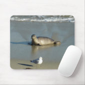 Harbour Siegel in La Jolla California Mousepad (Mit Mouse)