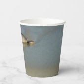 Harbour Siegel in La Jolla California Pappbecher (Rückseite)