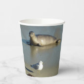 Harbour Siegel in La Jolla California Pappbecher (Links)