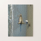 Harbour Siegel in La Jolla California Puzzle (Vertikal)
