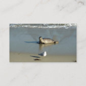 Harbour Siegel in La Jolla California Visitenkarte (Rückseite)