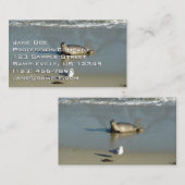 Harbour Siegel in La Jolla California Visitenkarte (Vorne/Hinten)