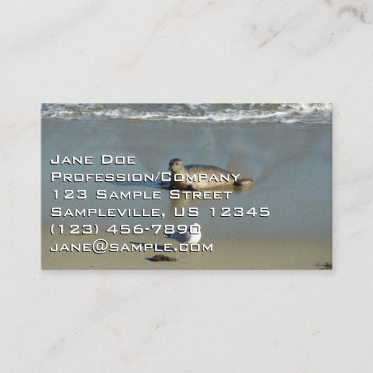 Harbour Siegel in La Jolla California Visitenkarte (Vorderseite)