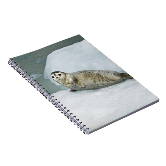 Harbour Siegel Notizblock (Rechte Seite)