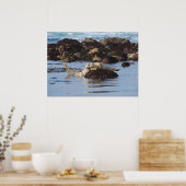 Harbour Siegel Posers Poster (Küche)