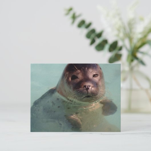 Harbour Siegel Postcard Postkarte (Stehend Vorderseite)