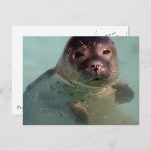 Harbour Siegel Postcard Postkarte (Vorne/Hinten)