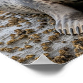 Harbour Siegel Poster