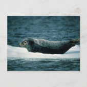 Harbour-Siegel Postkarte (Vorderseite)