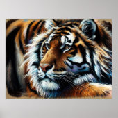 Hard Pastel Zeichne Tiger Poster (Vorne)