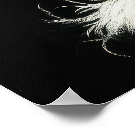 Hard Pastel Zeichnend König Charles Cavalier Spani Poster (Ecke)