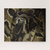 Hard Snake Puzzle (Horizontal)