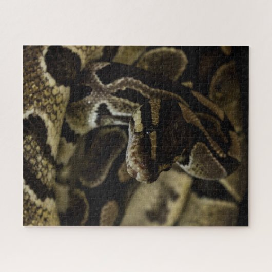 Hard Snake Puzzle (Horizontal)