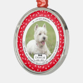 Hardest Goodbye Pet Memorial Glass Ornament (Links)