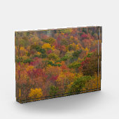 Hardwood Forest in Randolph Landkreis, West Virgin Fotoblock (Links)