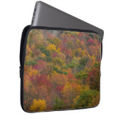 Hardwood Forest in Randolph Landkreis, West Virgin Laptopschutzhülle (Vorne Rechts)