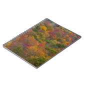 Hardwood Forest in Randolph Landkreis, West Virgin Notizblock (Linke Seite)
