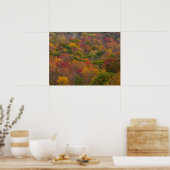 Hardwood Forest in Randolph Landkreis, West Virgin Poster (Küche)