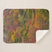 Hardwood Forest in Randolph Landkreis, West Virgin Sherpadecke (Vorderseite (Horizontal))