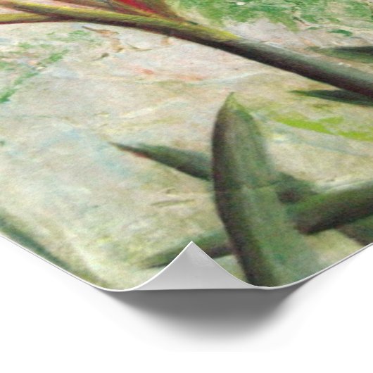 Hardy Amaryllis Poster (Ecke)