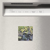 Hardy Creek, Oregon Magnet (In Situ (Geschirrspüler))