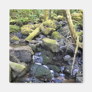 Hardy Creek, Oregon Magnet