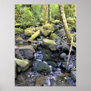 Hardy Creek, Oregon Poster